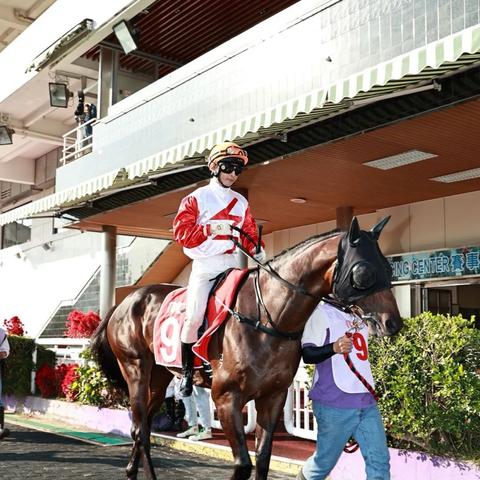 澳门采先知com|城市探秘发现隐秘美景_科研版.8.927