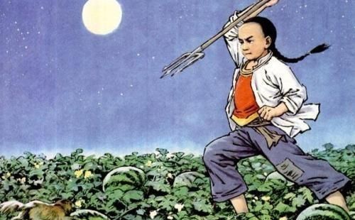 黄大仙免费资料大全最新|探索生活中的小确幸_动感集.7.813