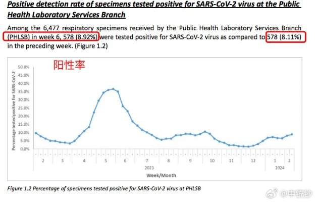 2024新一轮阳性吃什么药|探索神秘财富的秘密之旅_连续集.7.555
