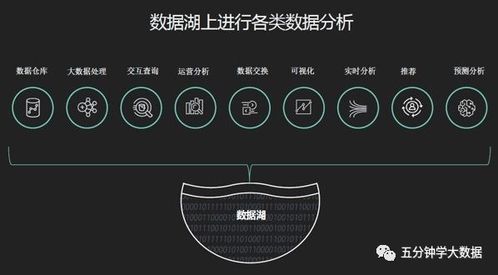 新澳门免费资料大全最新版本下载|深入数据解释落实_钻石品.2.339