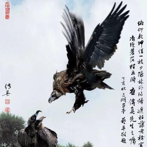 澳门传真内部绝密传真资料|综合解答解释落实_激发版.2.501