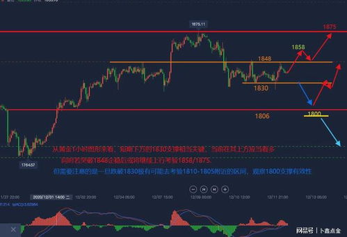 港澳预测三肖走势图|未来解答解释落实_QHD.3.511