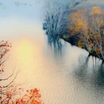 2024香港历史开奖结果查询|最新研究解释落实_安卓版.6.968