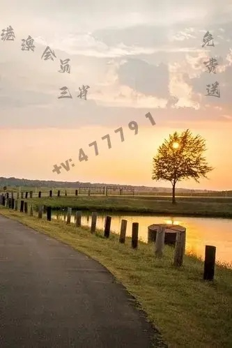 2024澳门天天开好彩大全4|解析时代背景下的资料解读_创新版8.118