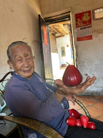 水果奶奶9888797cm|最新分析解释落实_X.2.168