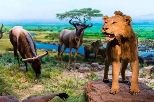 四不像正版资料免费大全|探索世界的未知奥秘_发布版.0.872