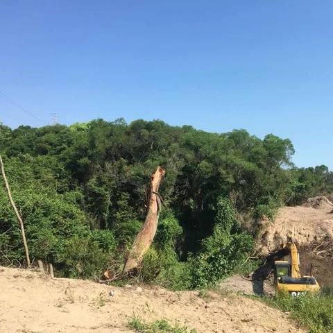 濠江论坛是免费的吗|综合研究解释落实_AP.6.675