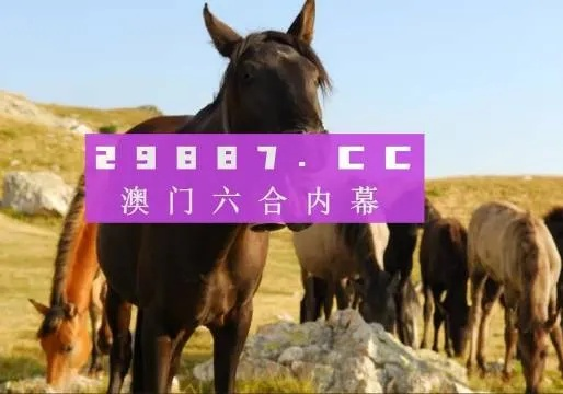 四不像澳门|智慧与策略的完美结合_财务制.8.986