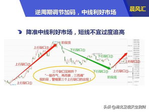 新澳门全年免费原料网|探索新趋势掌握未来资讯_XR.4.10