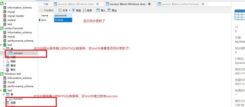 黄大仙精准六肖免费资料|实时更新解释落实_扩展版.1.900