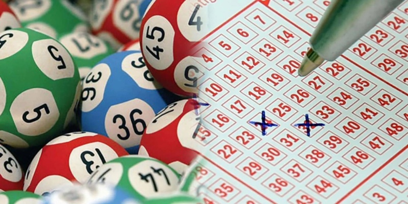 新澳门大众开奖结果今天|定量解答解释落实_win.1.31