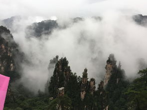 火凤凰鸡鸣风雨|深度解答解释落实_tool.2.628