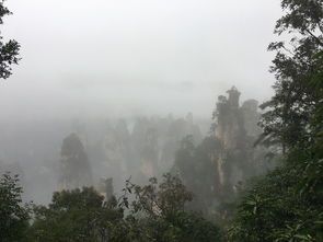 火凤凰鸡鸣风雨|深度解答解释落实_tool.2.628