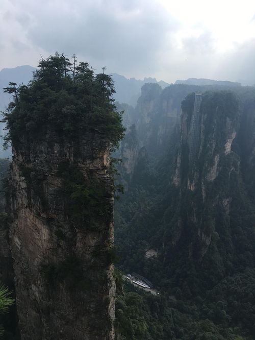 火凤凰鸡鸣风雨|深度解答解释落实_tool.2.628