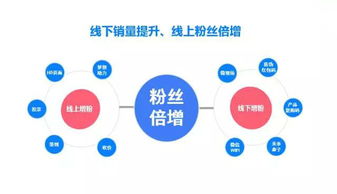 澳门一码中精准一码免费|智慧与策略的完美结合_移动版WSAP.7.889