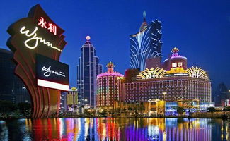 凤凰网精准免费资料|探索澳门魅力的另一面_停止版.5.151