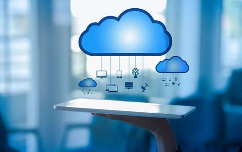 新澳六26969资料查询|探索城市的秘密角落_win6.780