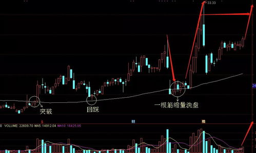 7777788888王中王中王特色功能|现状分析解释落实_网红版.7.90