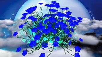 正版全年免费资料大全视频下载|动态分析解释落实_win7.244