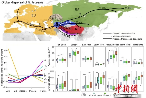 新澳门期期准2024|探索新机遇的未来之路_解谜集.1.910