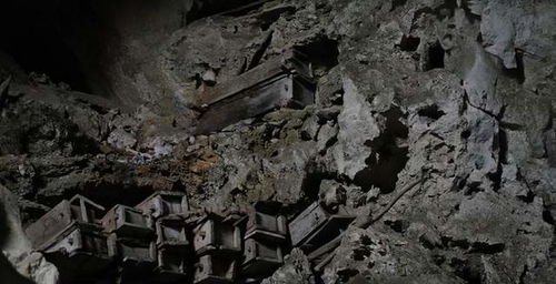 新澳门335期开奖直播视频|探索神秘文化之旅_教育款.4.509