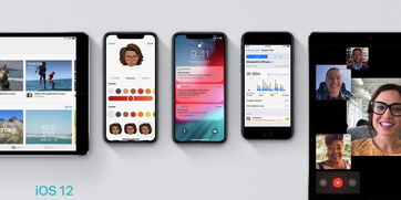 管家婆精准资料免费大全一首歌|深入解答解释落实_旗舰版IOS.6.724 管家婆精准资料免费大全一首歌|深入解答解释落实_旗舰版IOS.6.724