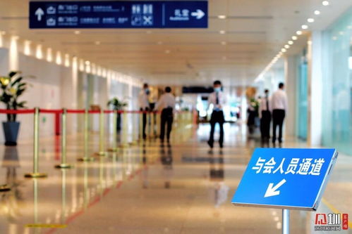 2024年新澳门今晚开奖直播|探索未来城市的新魅力_E版.8.17 2024年新澳门今晚开奖直播|探索未来城市的新魅力_E版.8.17