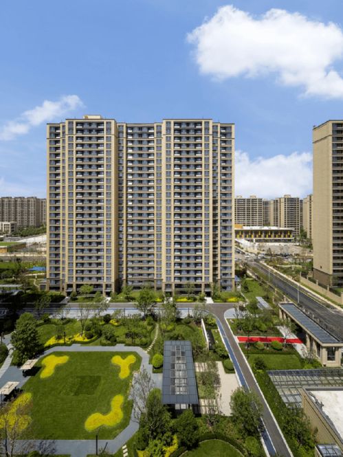 2024年正版资料免费大全功能介绍|智慧生活从这里开始_试炼版.2.895